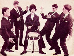 The Honeycombs