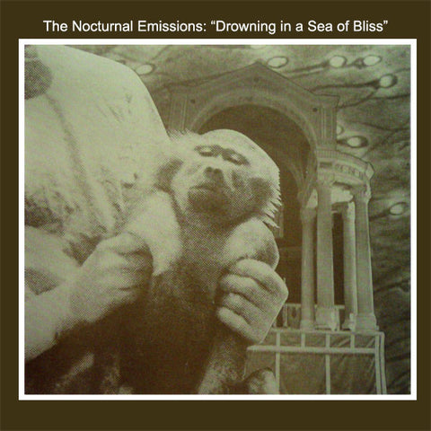 The Nocturnal Emissions - Drowning In A Sea Of Bliss