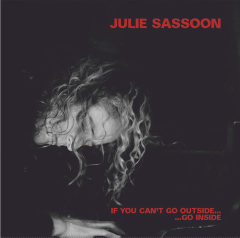 Julie Sassoon - If You Can't Go Outside... Go Inside