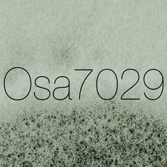Osa7029