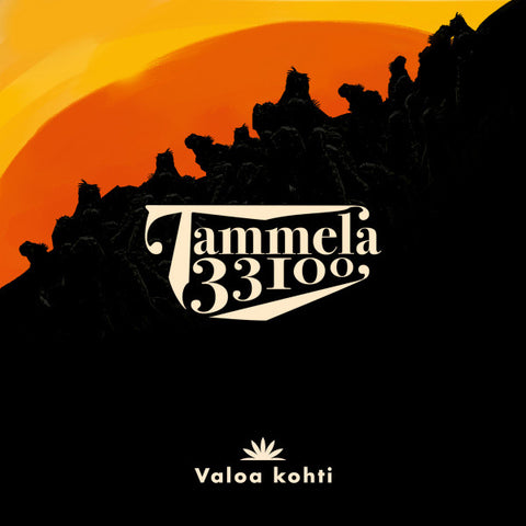 Tammela 33100 - Valoa Kohti