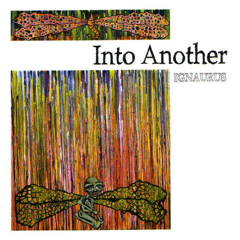 Into Another - Ignaurus