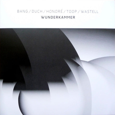 Bang / Duch / Honoré / Toop / Wastell - Wunderkammer