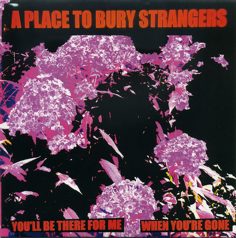 A Place To Bury Strangers - You'll Be There For Me / When You're Gone