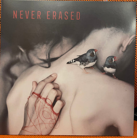 Various - Never Erased