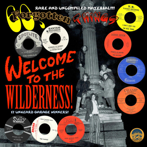 Various - 60's Forgotten Things - Welcome To The Wilderness!