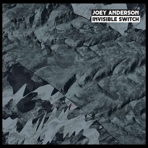 Joey Anderson - Invisible Switch