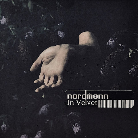 Nordmann - In Velvet