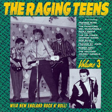 Various, - The Raging Teens Volume 3