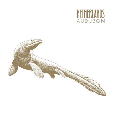 Netherlands - Audubon