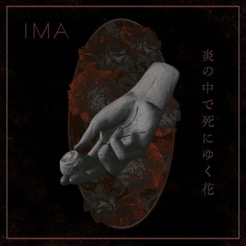 IMA - The Flowers Die In Burning Fire - 炎の中で死にゆく花