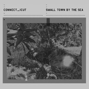 Connect_icut - Small Town By The Sea