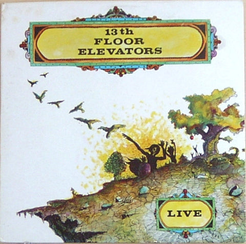 13th Floor Elevators - Live