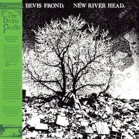 The Bevis Frond - New River Head