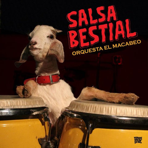 Orquesta el Macabeo - Salsa Bestial