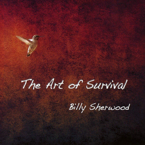 Billy Sherwood - The Art Of Survival