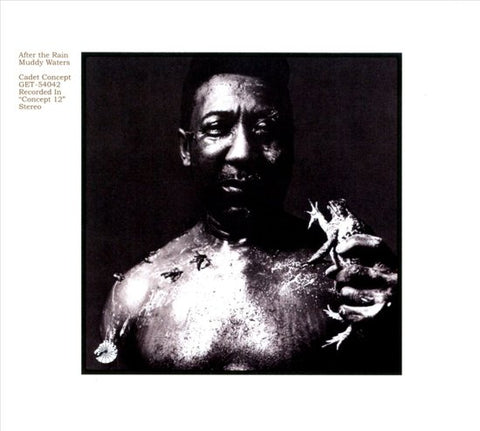 Muddy Waters - After The Rain