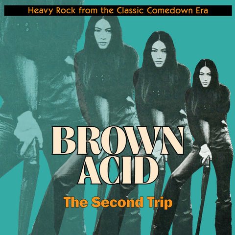 Various - Brown Acid: The Second Trip