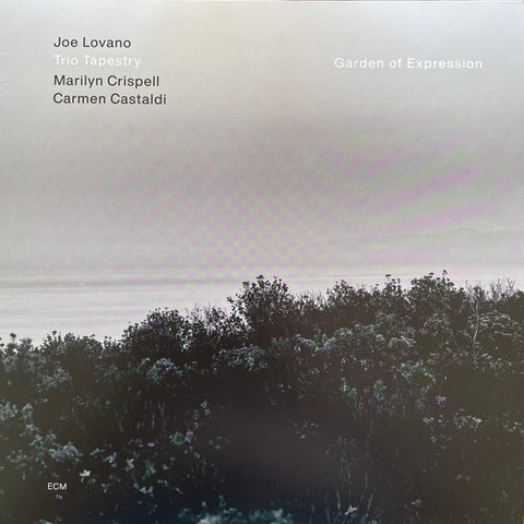 Joe Lovano, Trio Tapestry, Marilyn Crispell, Carmen Castaldi - Garden Of Expression