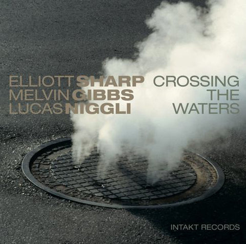 Elliott Sharp, Melvin Gibbs, Lucas Niggli - Crossing The Waters