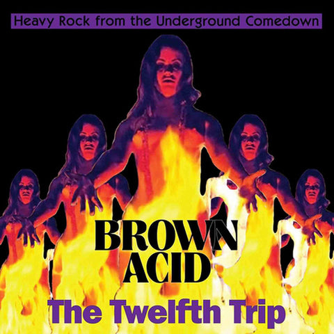 Various - Brown Acid: The Twelfth Trip (Heavy Rock From The Underground Comedown)
