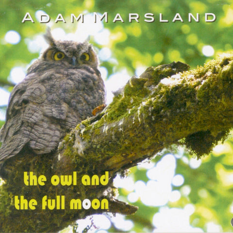 Adam Marsland - The Owl And The Full Moon