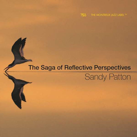 Sandy Patton - The Saga Of Reflective Perspectives