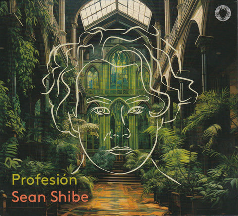 Sean Shibe - Profesión
