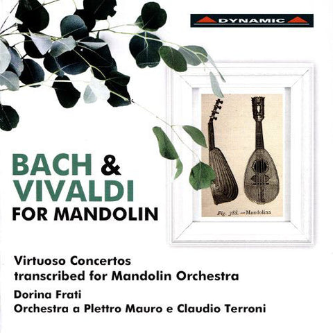 Bach, Vivaldi, Dorina Frati, Mandolin Orchestra Mauro E Claudio Terroni - Bach & Vivaldi For Mandolin