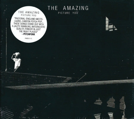 The Amazing - Picture You