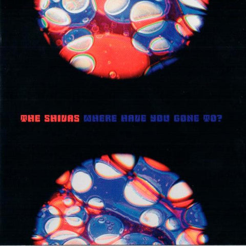 The Shivas - Where Have You Gone To?