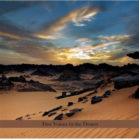 Perry Robinson & Burton Greene - Two Voices In The Desert