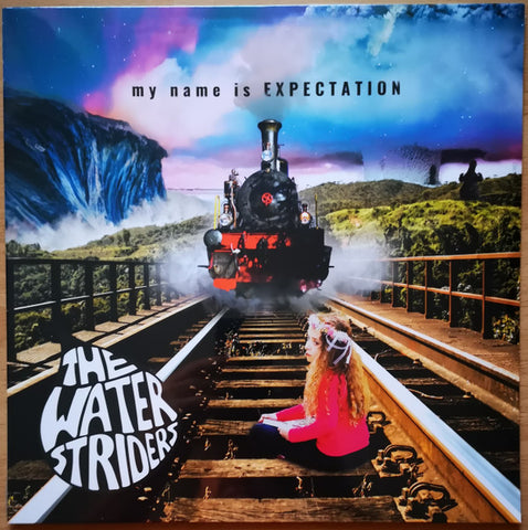 The WaterStriders - My Name Is Expectation