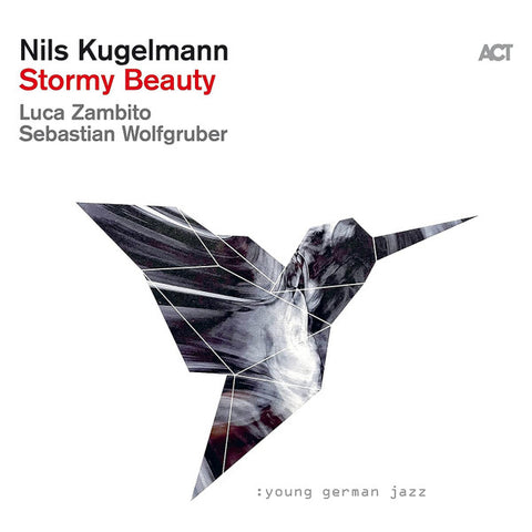 Nils Kugelmann, Luca Zambito, Sebastian Wolfgruber - Stormy Beauty