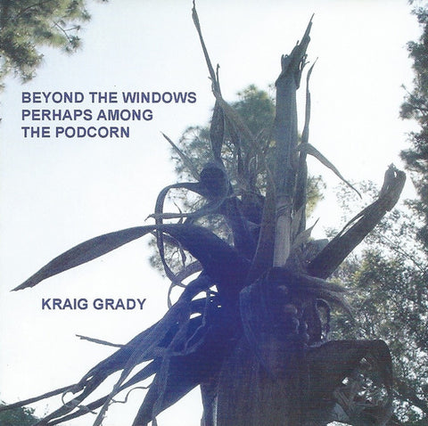 Kraig Grady - Beyond The Windows Perhaps Among The Podcorn