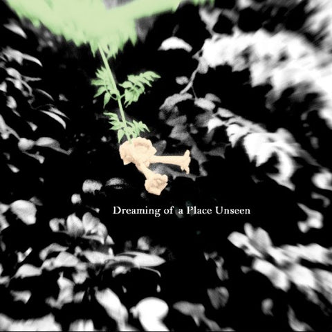 Nolan Quinn - Dreaming Of A Place Unseen