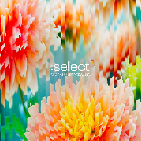 Various - :Select Volume 5