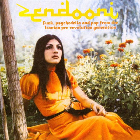 Various - Zendooni (Funk, Psychedelia And Pop From The Iranian Pre-Revolution Generation)