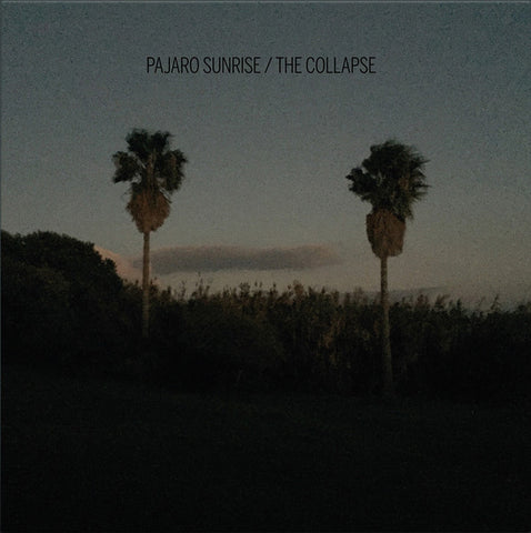 Pajaro Sunrise - The Collapse