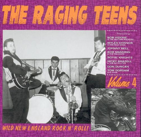 Various - The Raging Teens Volume 4