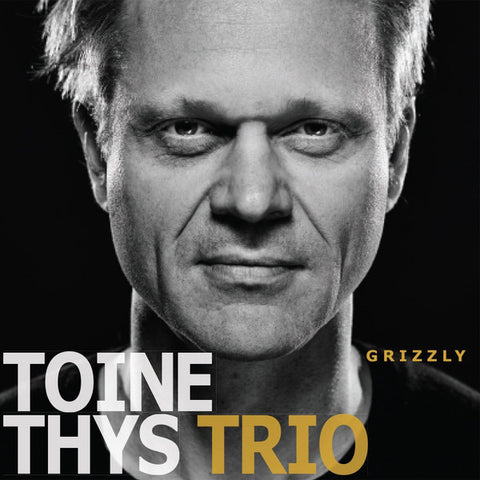 Toine Thys Trio - Grizzly