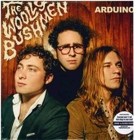 The Woolly Bushmen - Arduino