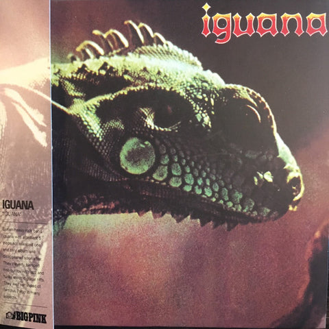 Iguana - Iguana
