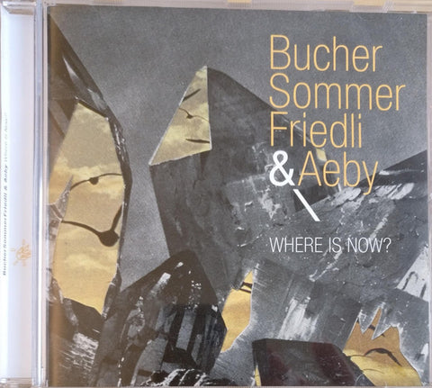 BucherSommerFriedli & Aeby - Where Is Now