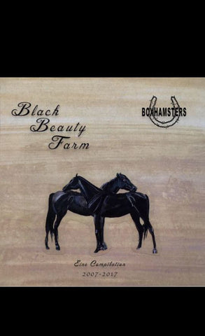 Boxhamsters - Black Beauty Farm