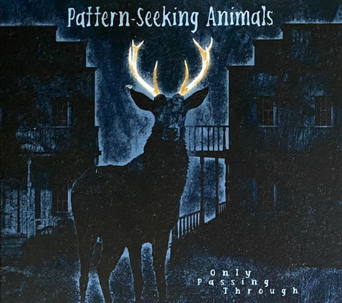 Pattern-Seeking Animals - Only Passing Through