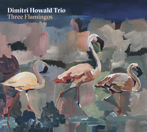 Dimitri Howald Trio - Three Flamingos