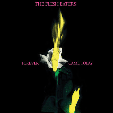 The Flesh Eaters - Forever Came Today