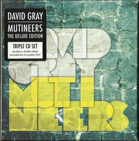 David Gray - Mutineers