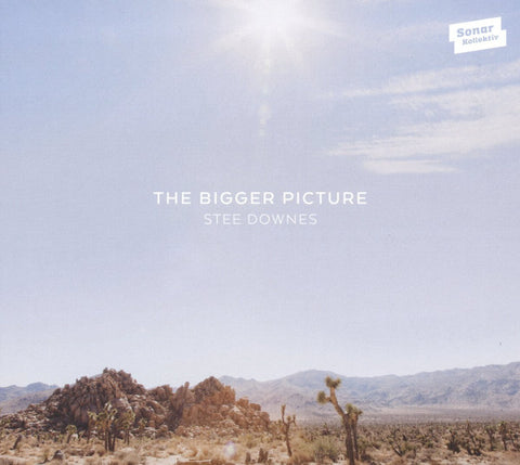 Stee Downes - The Bigger Picture